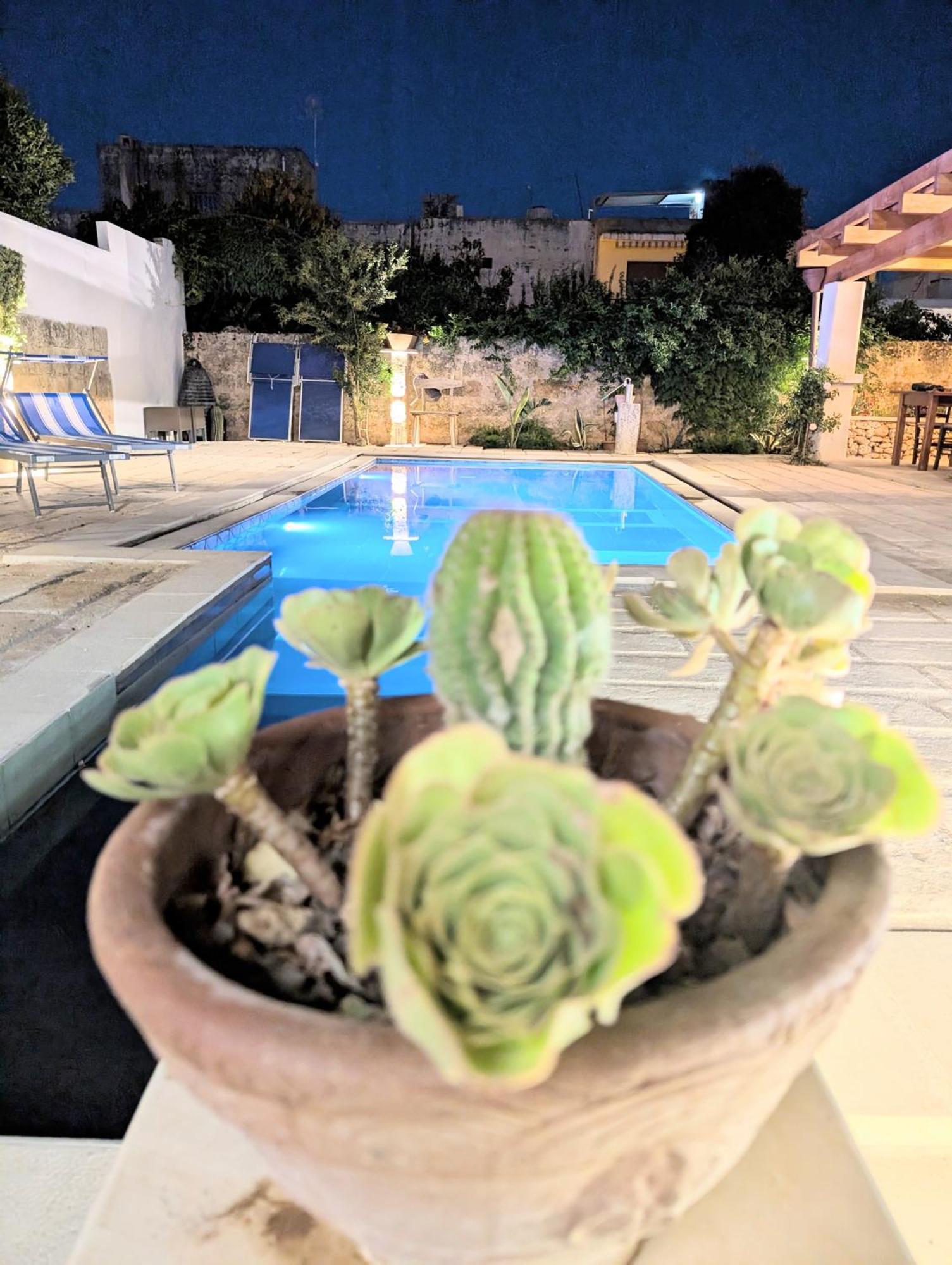 The Art Of Leo Bed and Breakfast Lucugnano Εξωτερικό φωτογραφία
